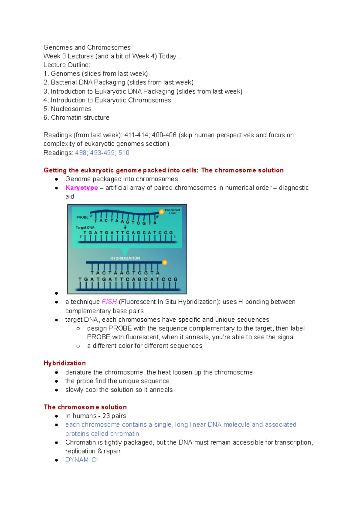 Week 3 - Genomes Chromosomes - Genomes And Chromosomes Week 3 Lectures ...