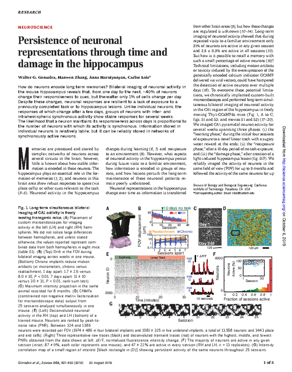 Talk 7 primary - lol - NEUROSCIENCE Persistence of neuronal ...