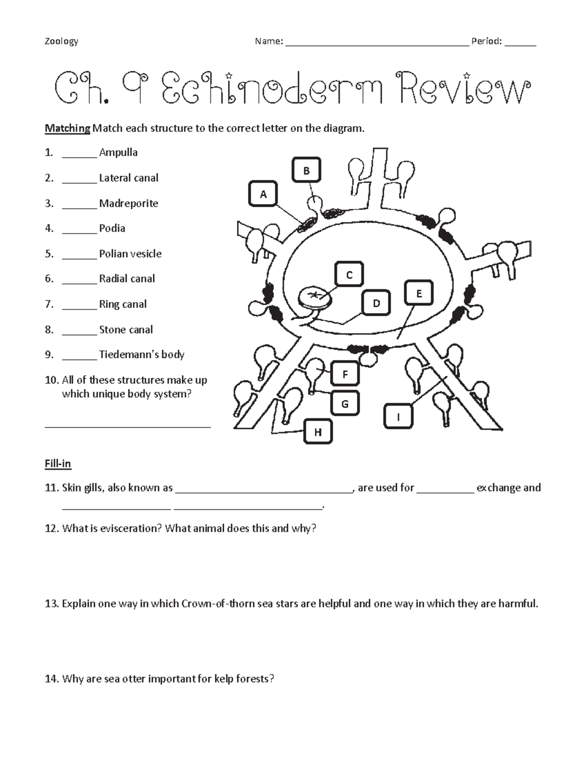 Echinoderm Worksheet - Will get a new understandment of marine bio ...