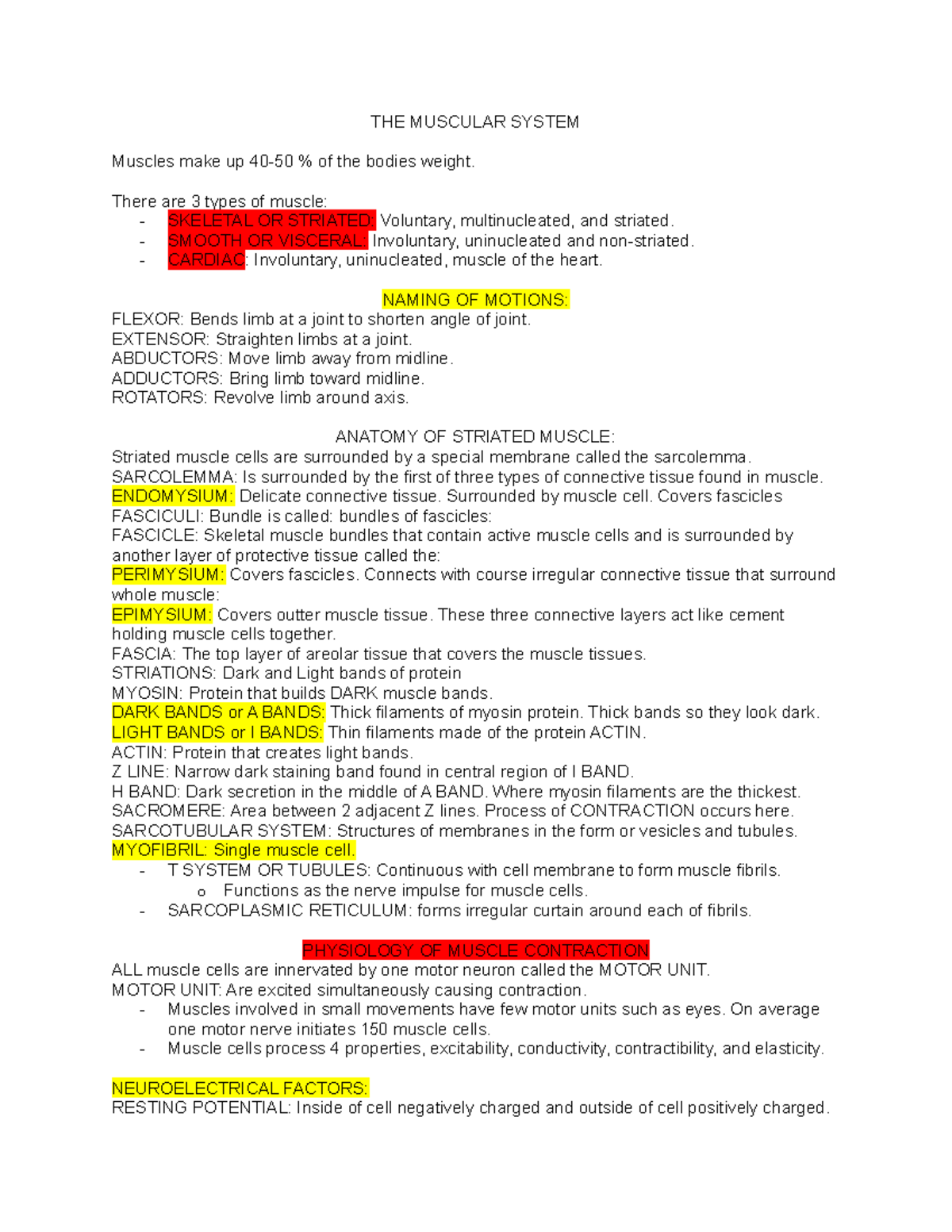 THE Muscular System - My notes for review - THE MUSCULAR SYSTEM Muscles ...