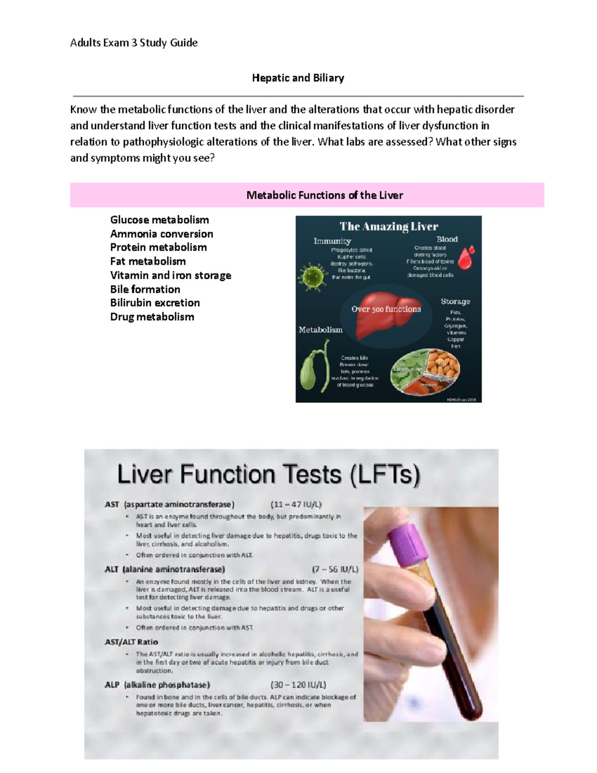 A1 exam 3 study guide - Hepatic and Biliary Know the metabolic ...