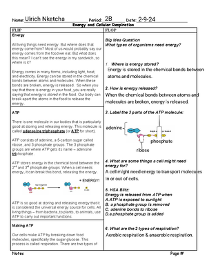Guided Notes Anaerobic and Aerobic Cellular Respiration - Name