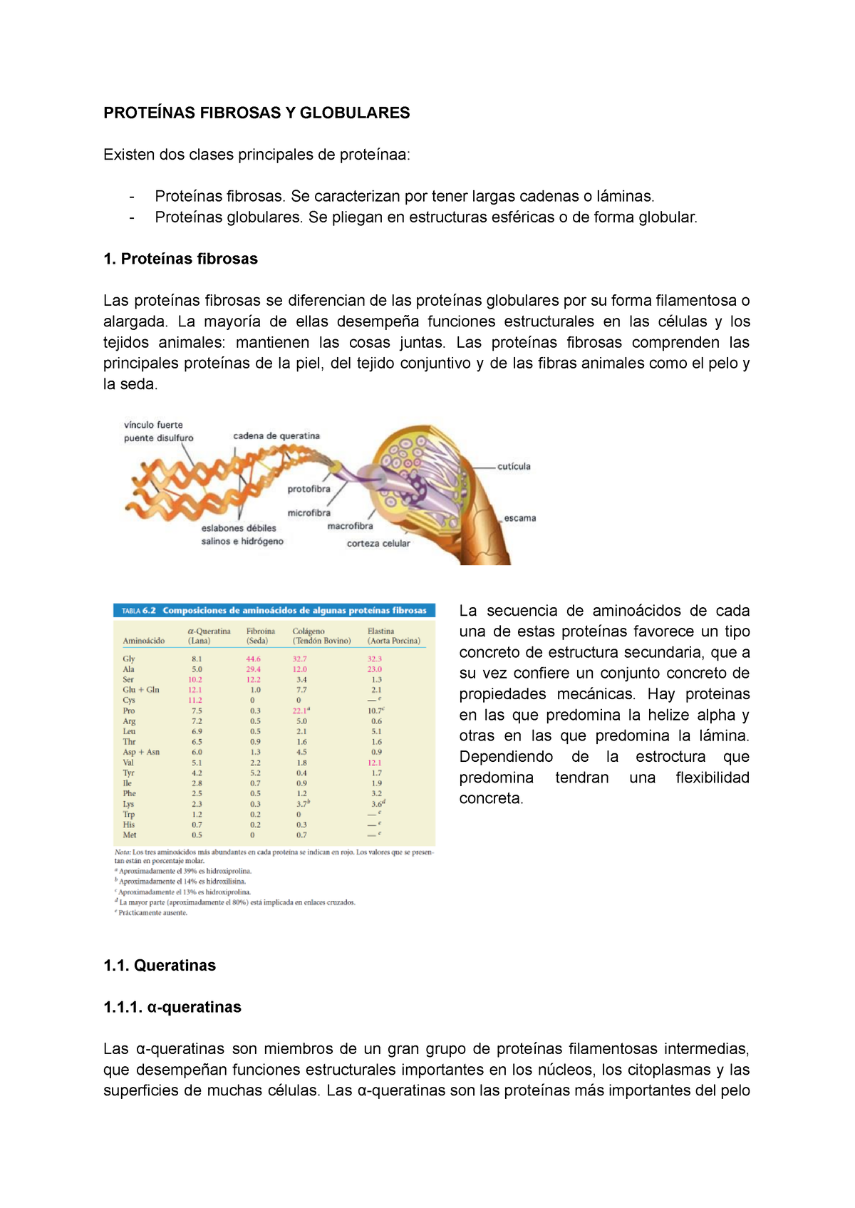 Tema 10 Proteínas Fibrosas Y Globulares ProteÍnas Fibrosas Y Globulares Existen Dos Clases 0182