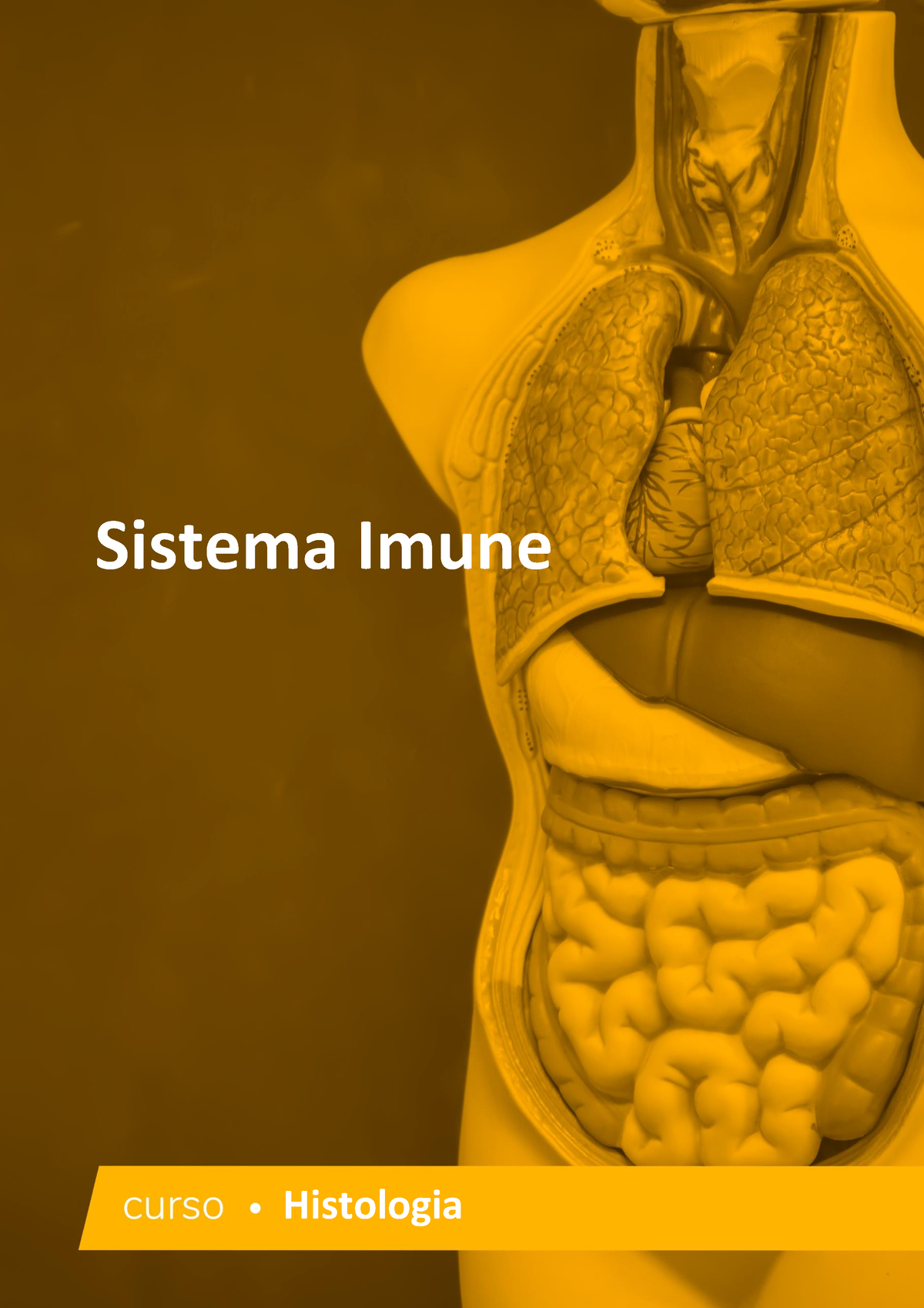 Sistema-imune - Histologia - Histologia Sistema Imune INTRODUÇÃO O ...