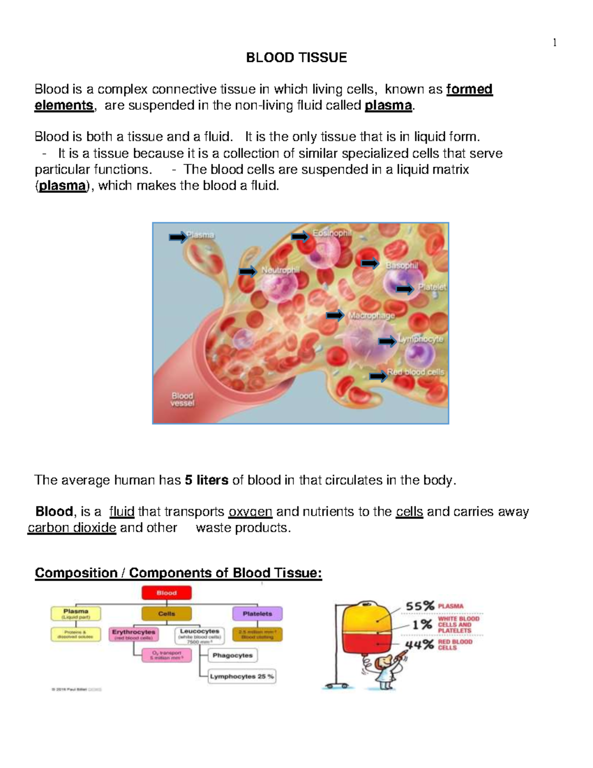 Blood Tissue I - Lecture notes 3 - BLOOD TISSUE Blood is a complex ...