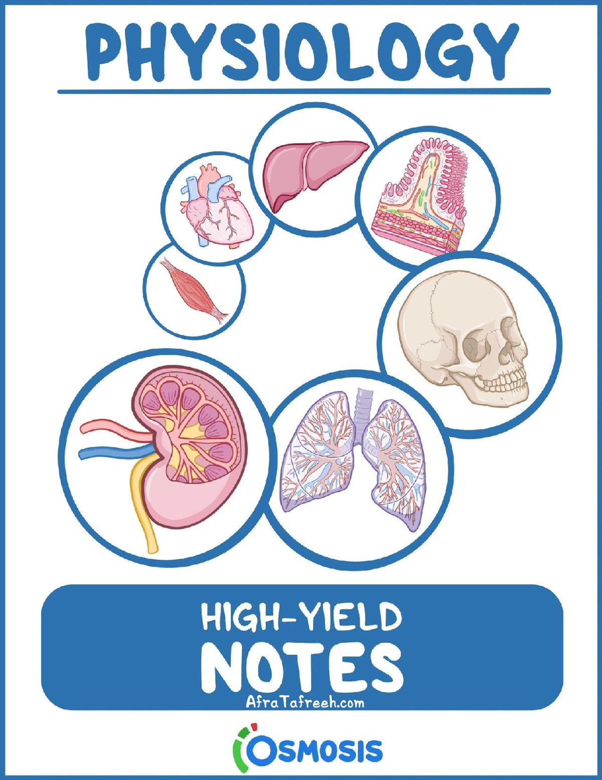 Osmosis HighYield Physiology ATF PHYSIOLOGY •' \OSMOSIS