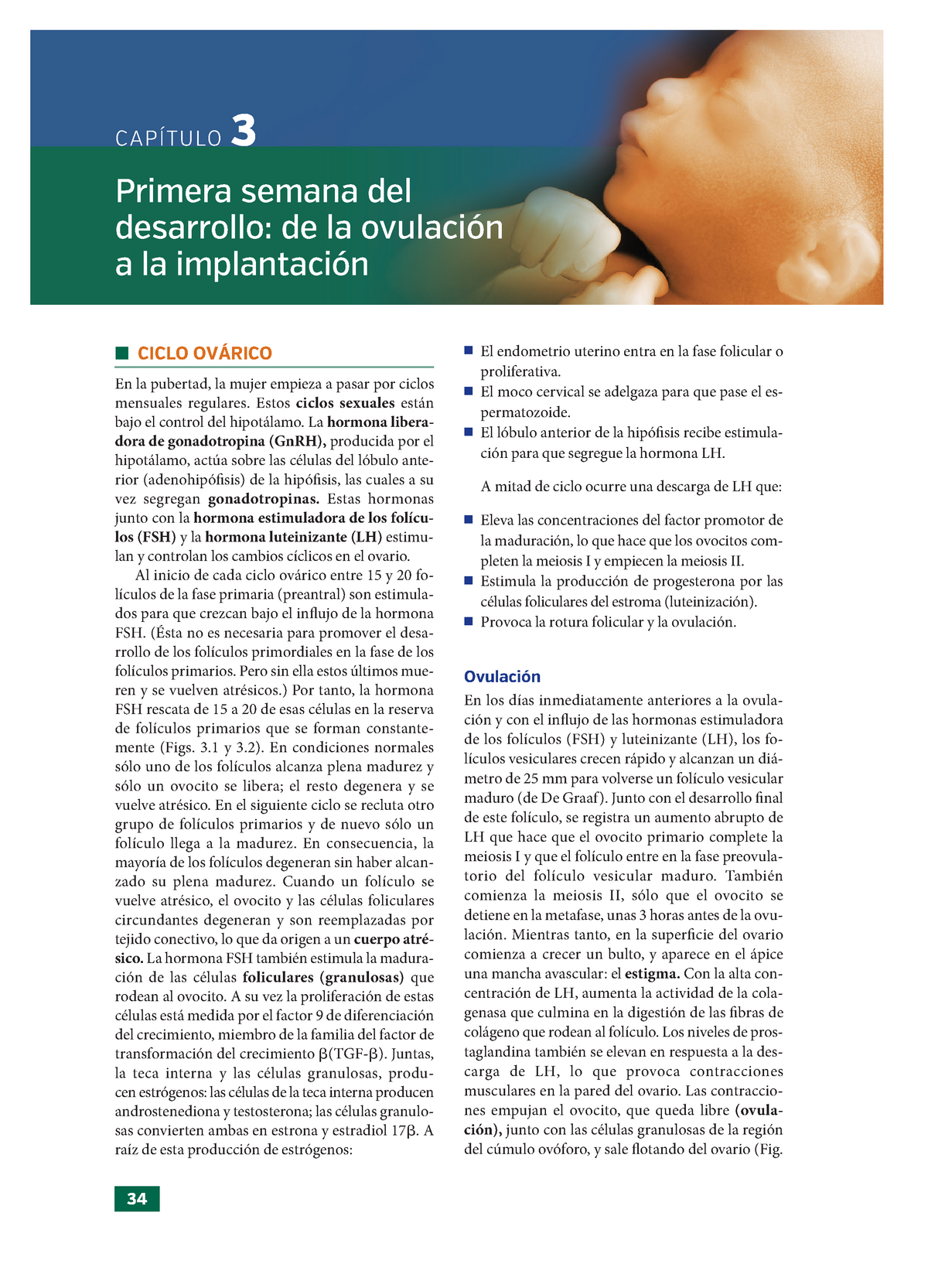 12 Fecundacion Esta En Pdf CapÍtulo 3 Primera Semana Del Desarrollo De La Ovulación A La 