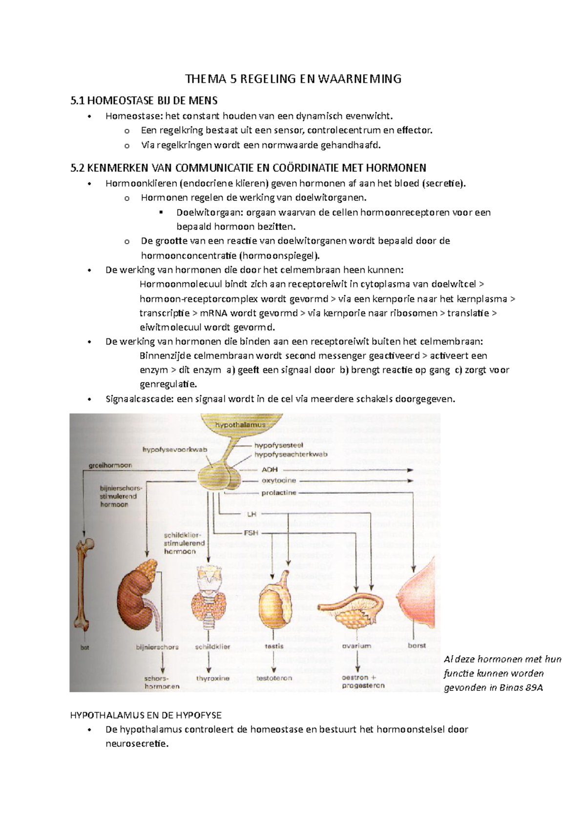 Thema 5 Regeling En Waarneming Tm Paragraaf 3 - Biologie Voor Jou - Al ...