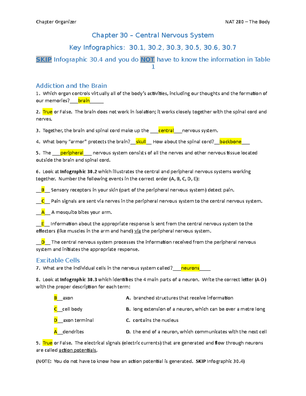 Chapter 30Nervous Answer KEY Chapter Organizer NAT 280 The Body Chapter