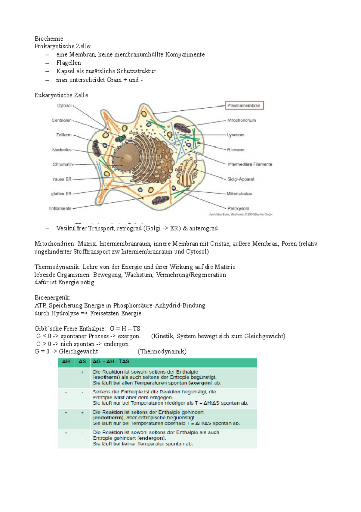 Biochemie Biochemie Prokaryotische Zelle Eine Membran Keine Kompatimente Flagellen Kapsel Als Schutzstruktur Man Unterscheidet Gram Und Eukaryotische Zelle Studocu