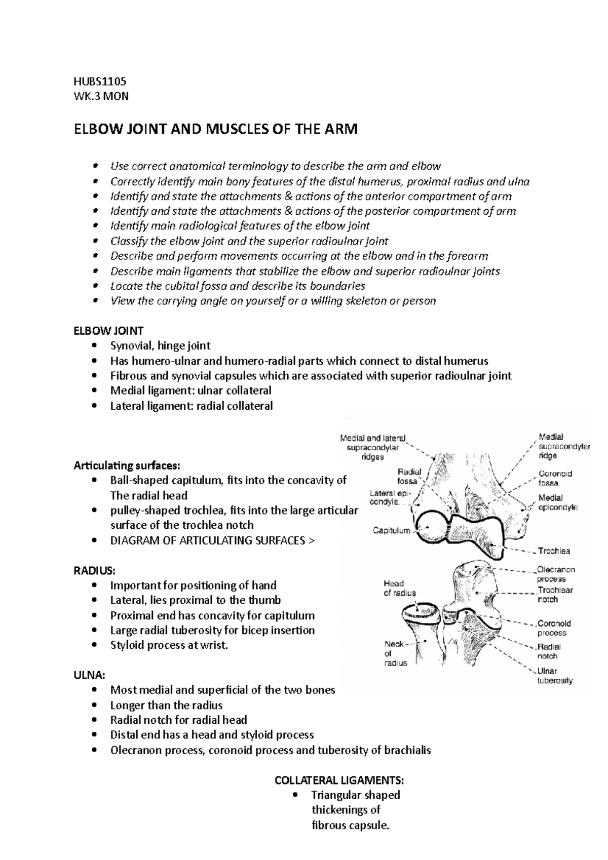 HUBS1105 Radioulnar Joint wk - HUBS1105 WK MON ELBOW JOINT AND MUSCLES ...