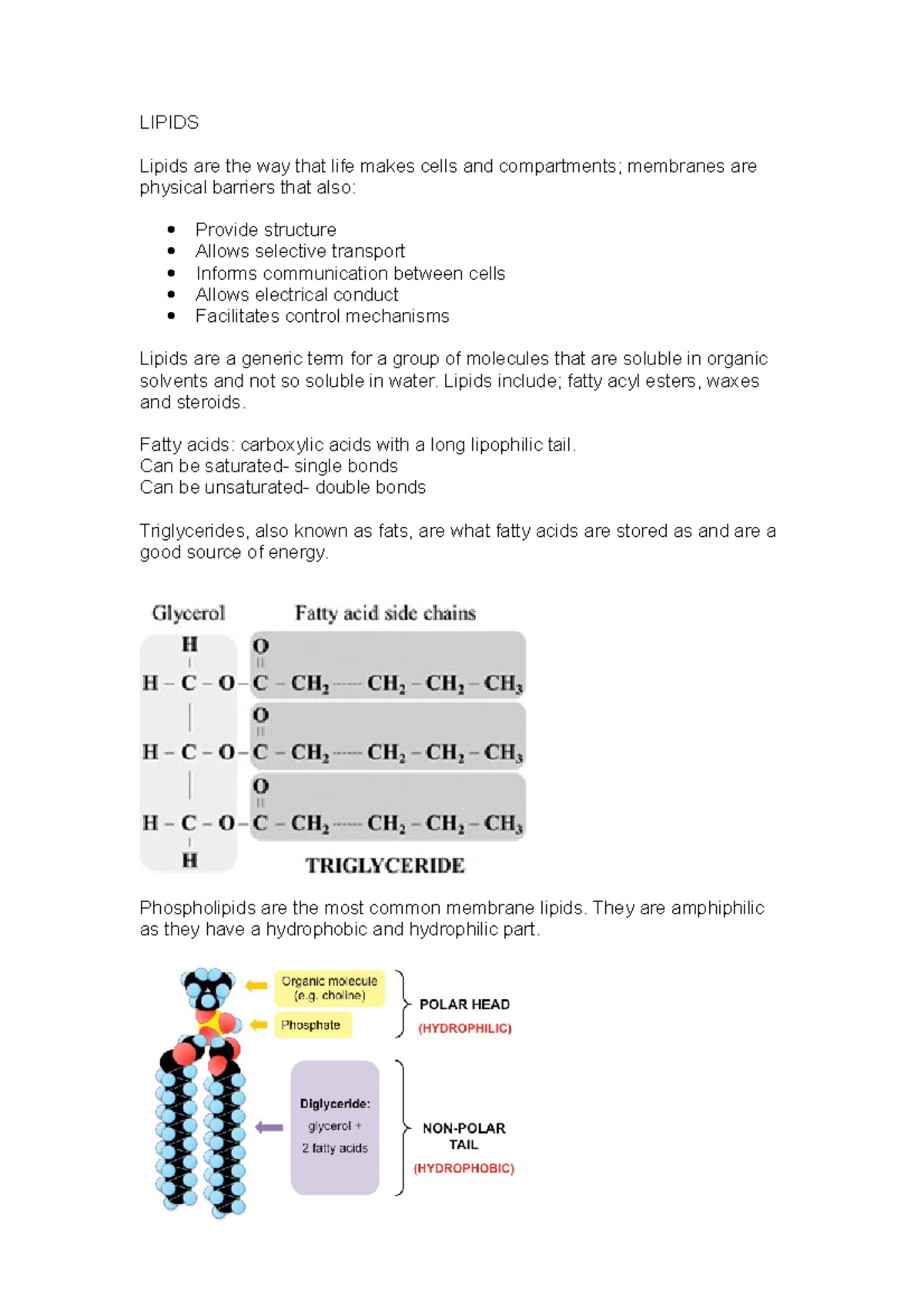 Lipids - Notes - LIPIDS Lipids Are The Way That Life Makes Cells And ...