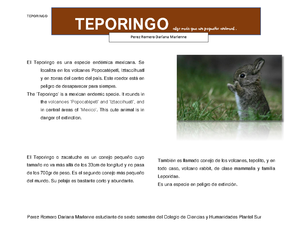 Artículo de Divulgación Científica Imagen Teporingo - TEPORINGO Perez