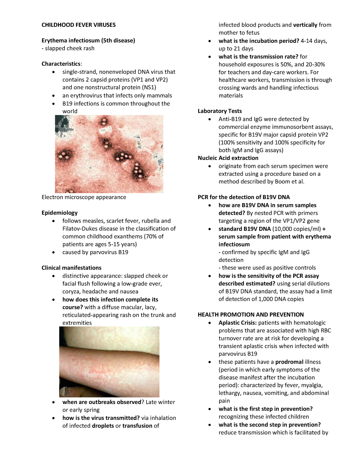 Childhood Fever Viruses - mycology and virology didactics - CHILDHOOD ...