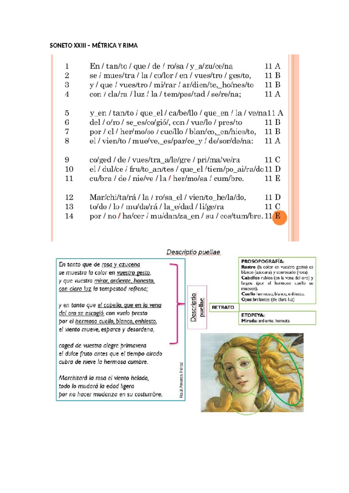 Soneto Xxiii - Lengua Castellana Y Literatura - SONETO XXIII – MÉTRICA ...