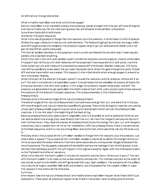 SCI 270 Assignment 1 Part A Marketing Plan1 - Task 1: Part A: Your ...