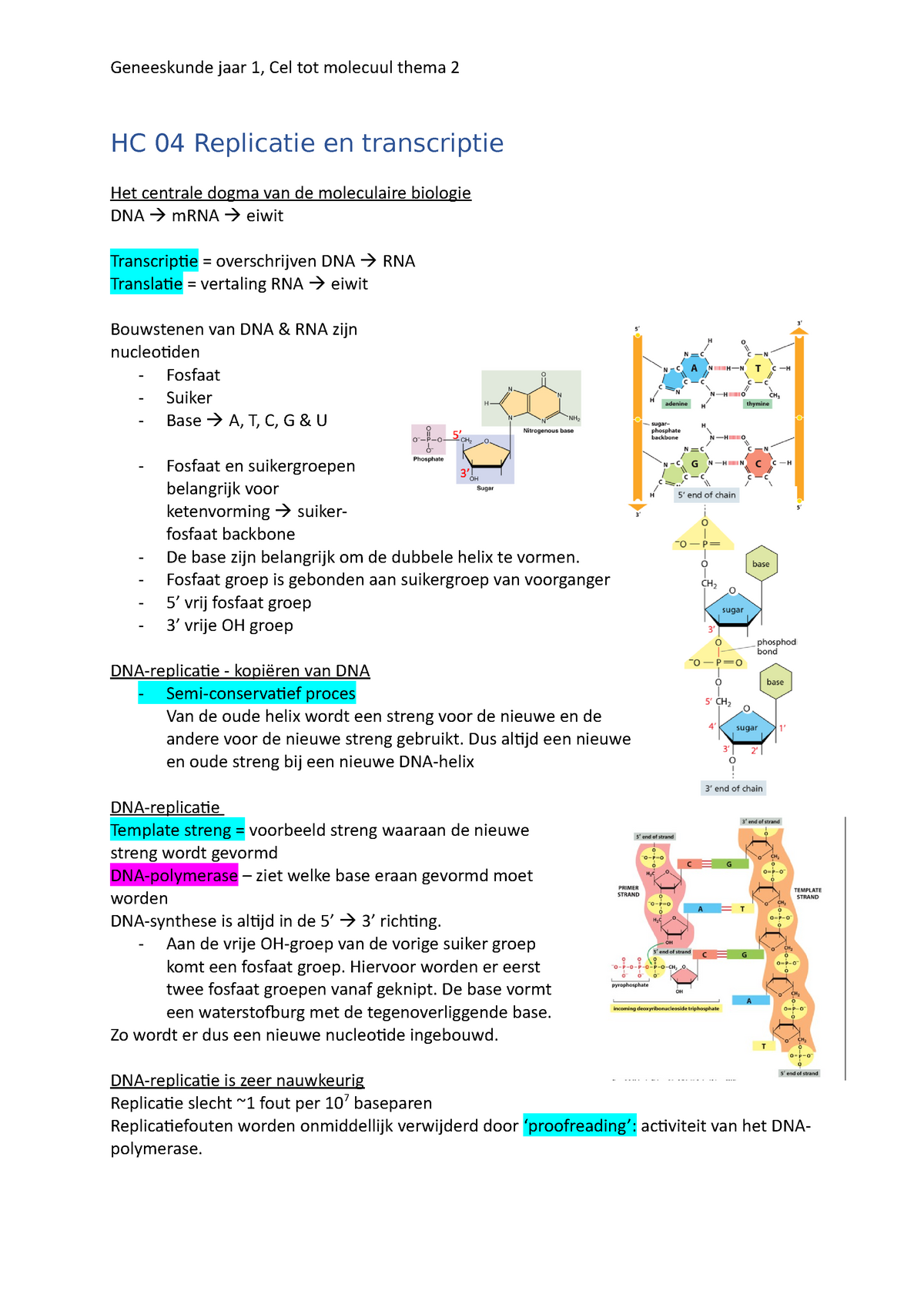 Cel Tot Molecuul Thema 2 Hc 04 Replicatie En Transcriptie Het