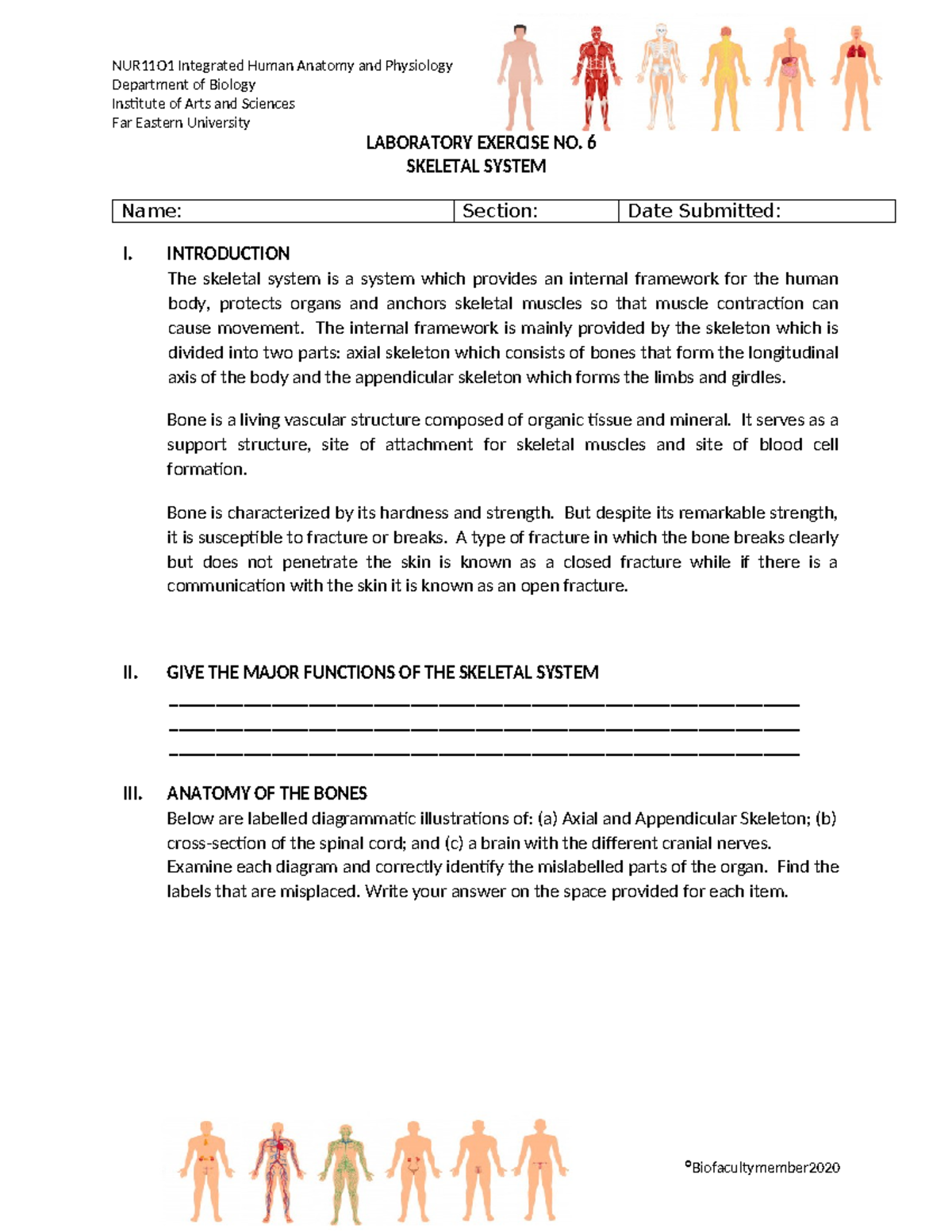 LAB Exercise 6 Skeletal System - Department of Biology Institute of ...