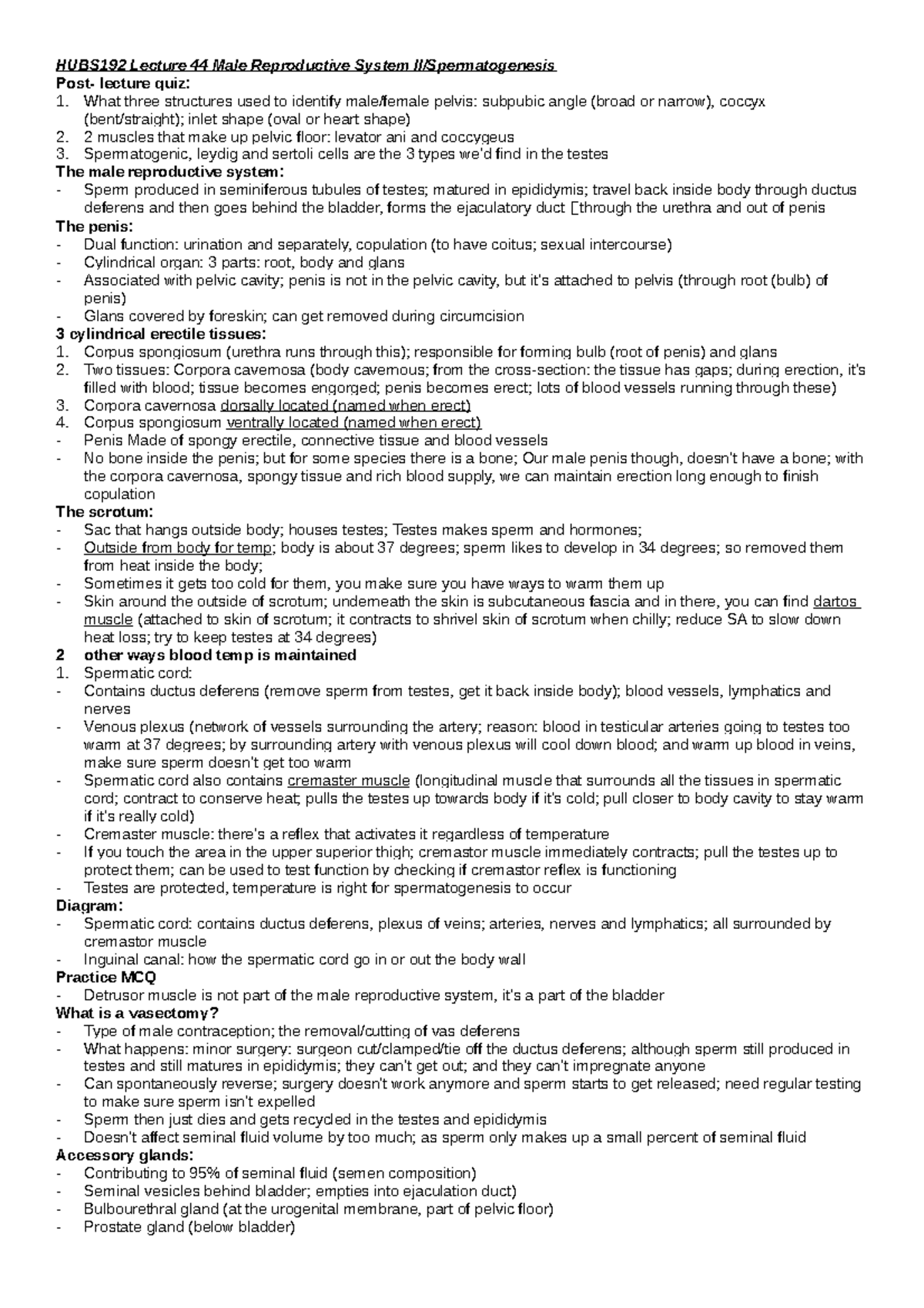 HUBS192 Lecture 44 Male Reproductive System II and Spermatogenesis ...