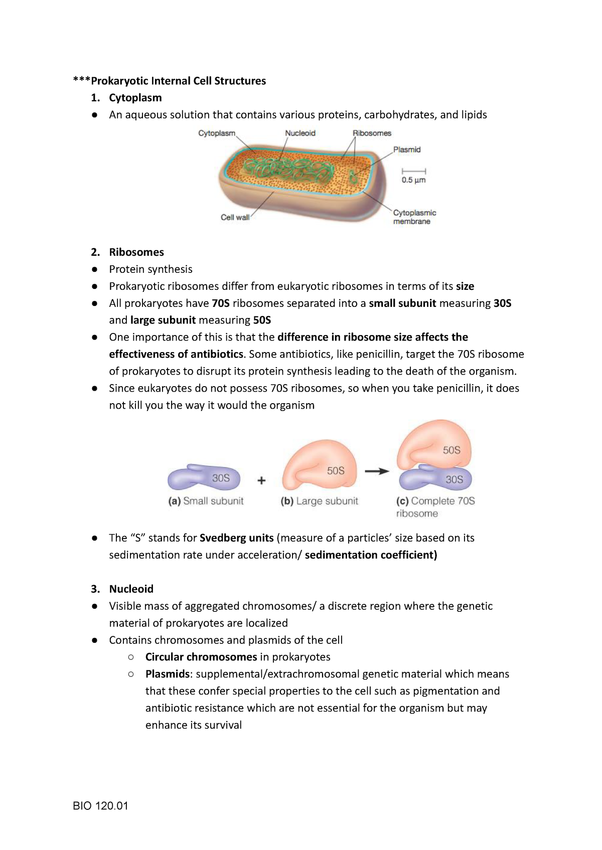 Prokaryotic Internal & External Structures Microbiology Lecture ...