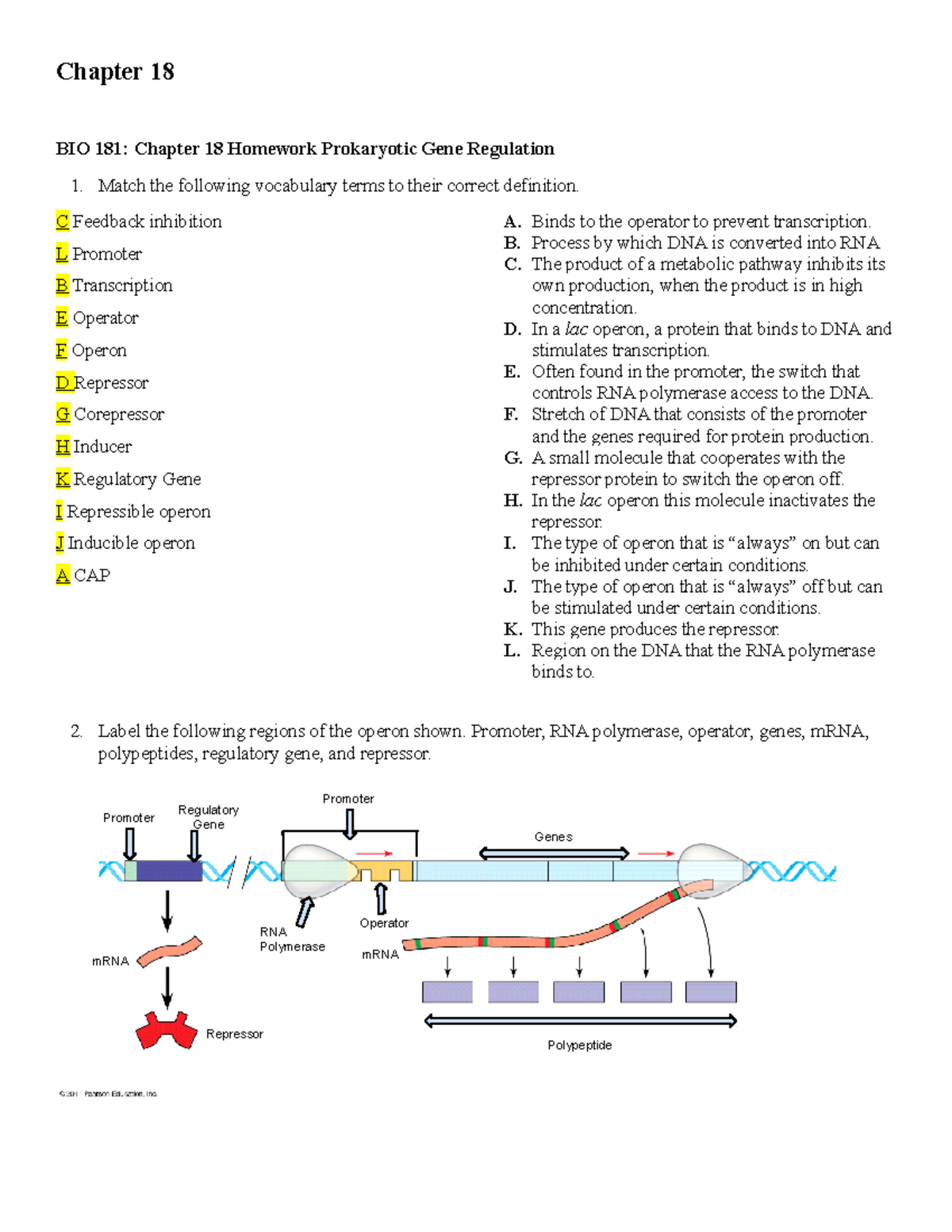 BIO 181 Hk WK14 Ch 18 - BIO 181: Chapter 18 Homework Prokaryotic Gene ...