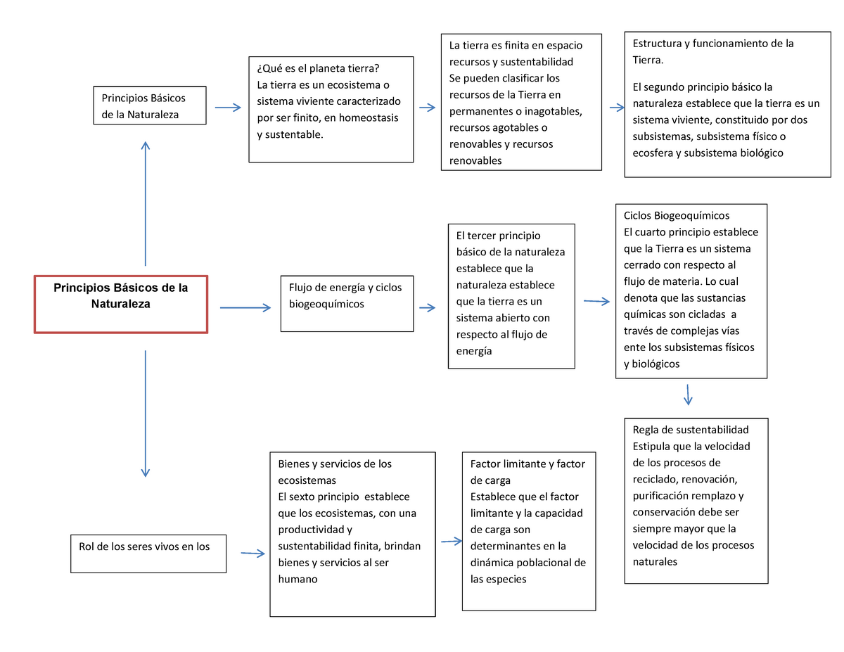 Principios Basicos De La Naturaleza Compremiso Ambiente Y Sustenabilidad 2021 Principios