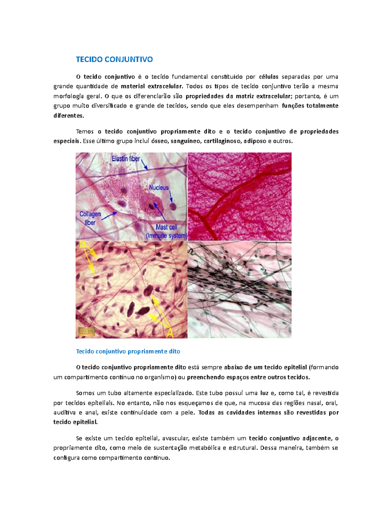 Tecidos Conjuntivos Propriamente Ditos (resumo) - Histologia - UP - Studocu