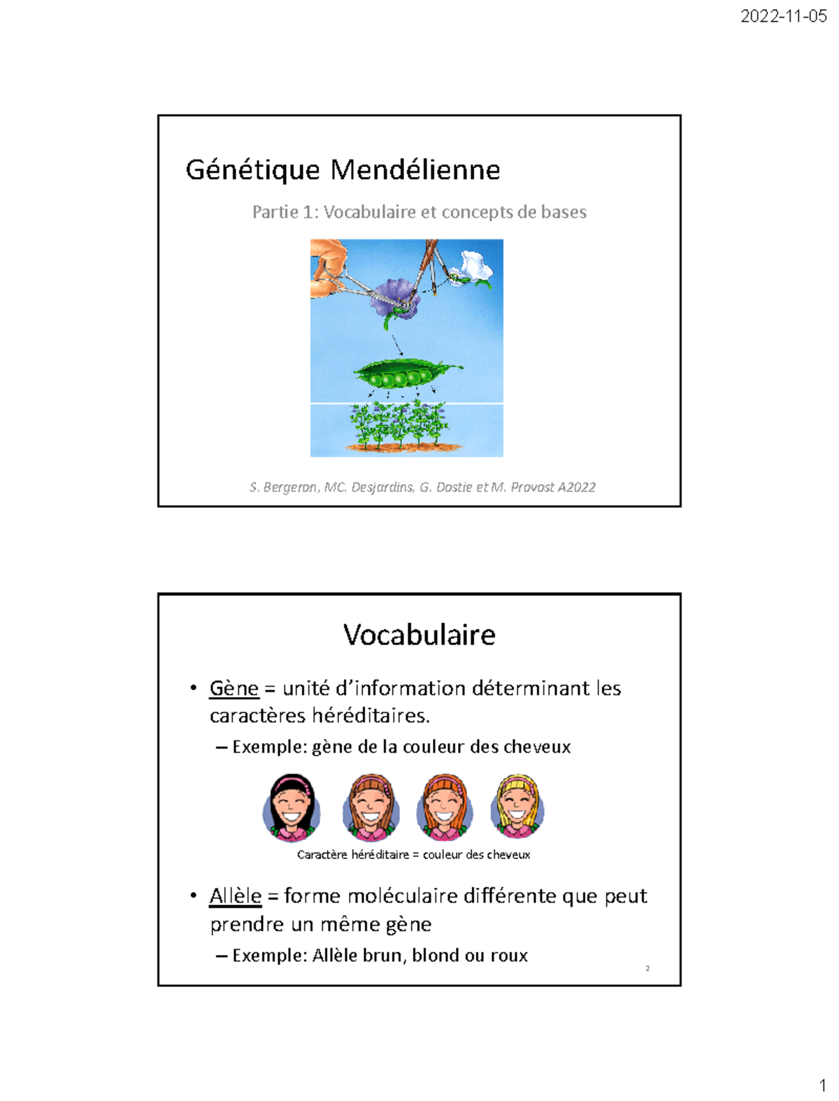 A2022 bio Génétique Mendélienne Partie 1 Vocabulaire