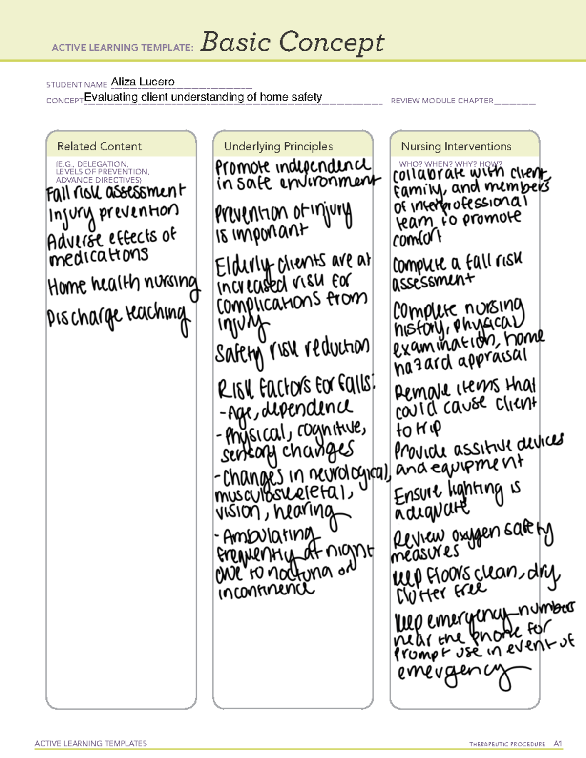 Funds 3 - VOCN - 100 - ACTIVE LEARNING TEMPLATES TherapeuTic procedure ...
