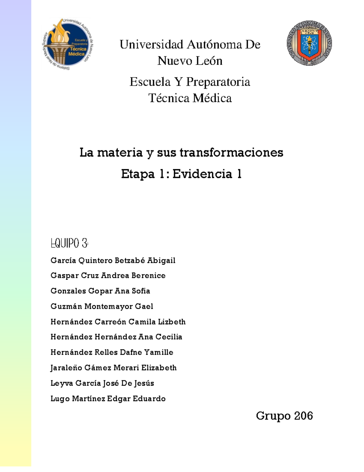 Equipo 3 Evidencia 1 LMy T - Universidad La materia y sus ...