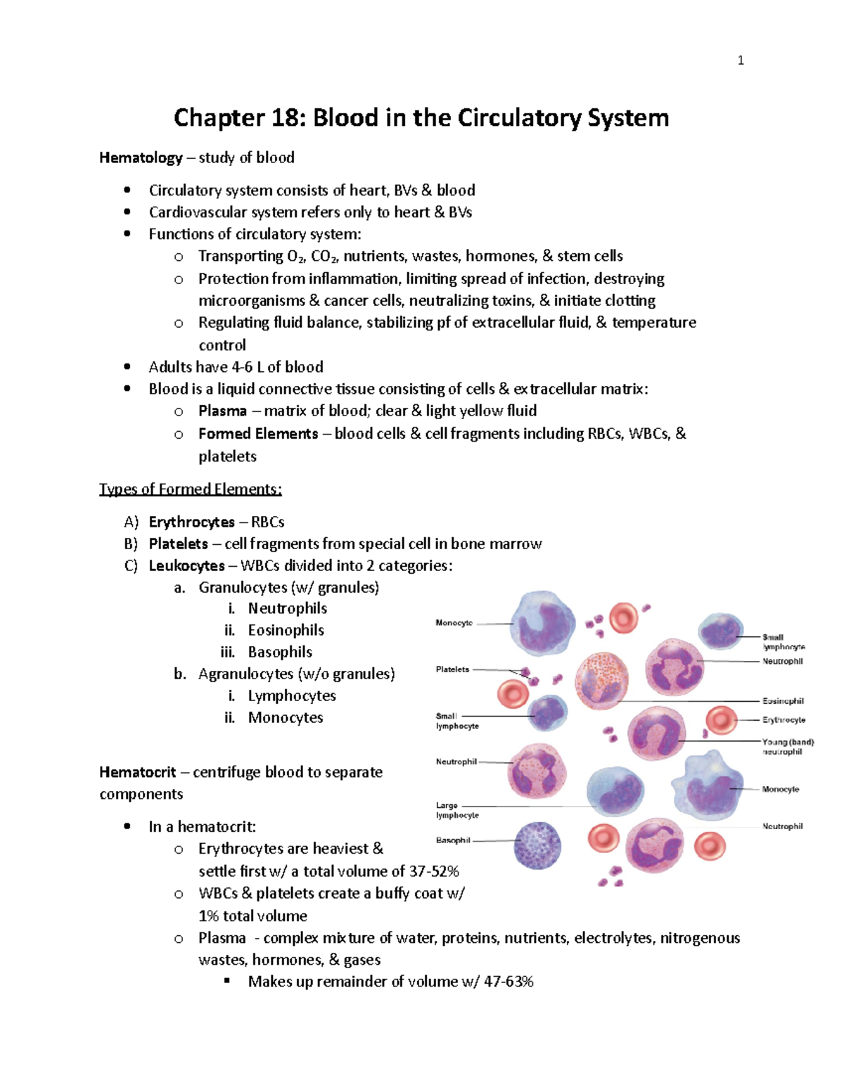 Chapter 18 Blood In Circulatory System - Chapter 18: Blood In The ...