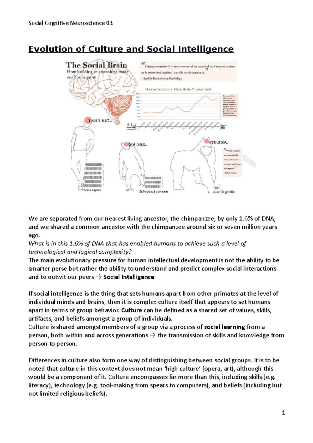03 social cognitive neuroscience - Evolution of Culture and Social ...