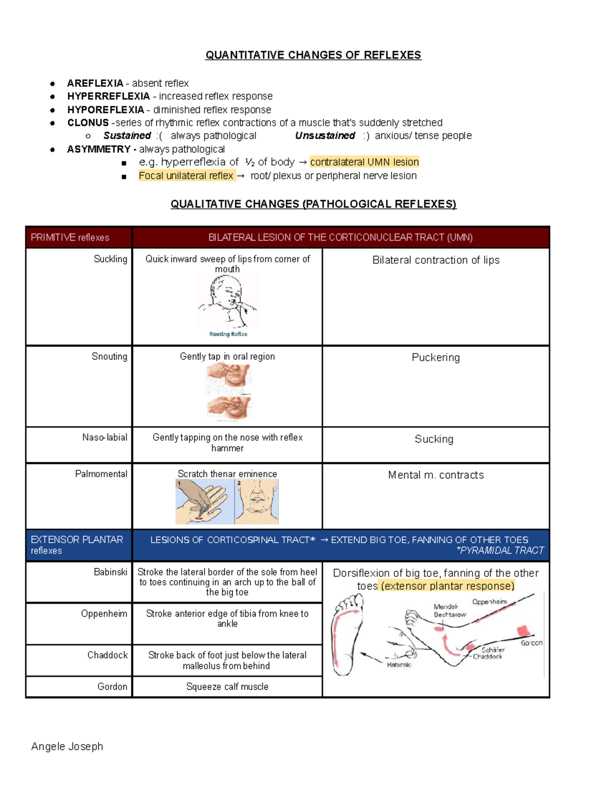 2) Pathological Reflexes Table - QUANTITATIVE CHANGES OF REFLEXES ...