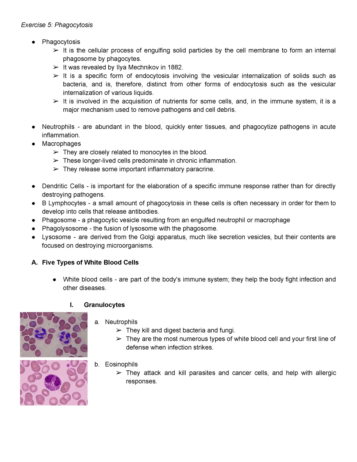 2- Micropara-LAB Reviewer - Exercise 5: Phagocytosis Phagocytosis It is ...