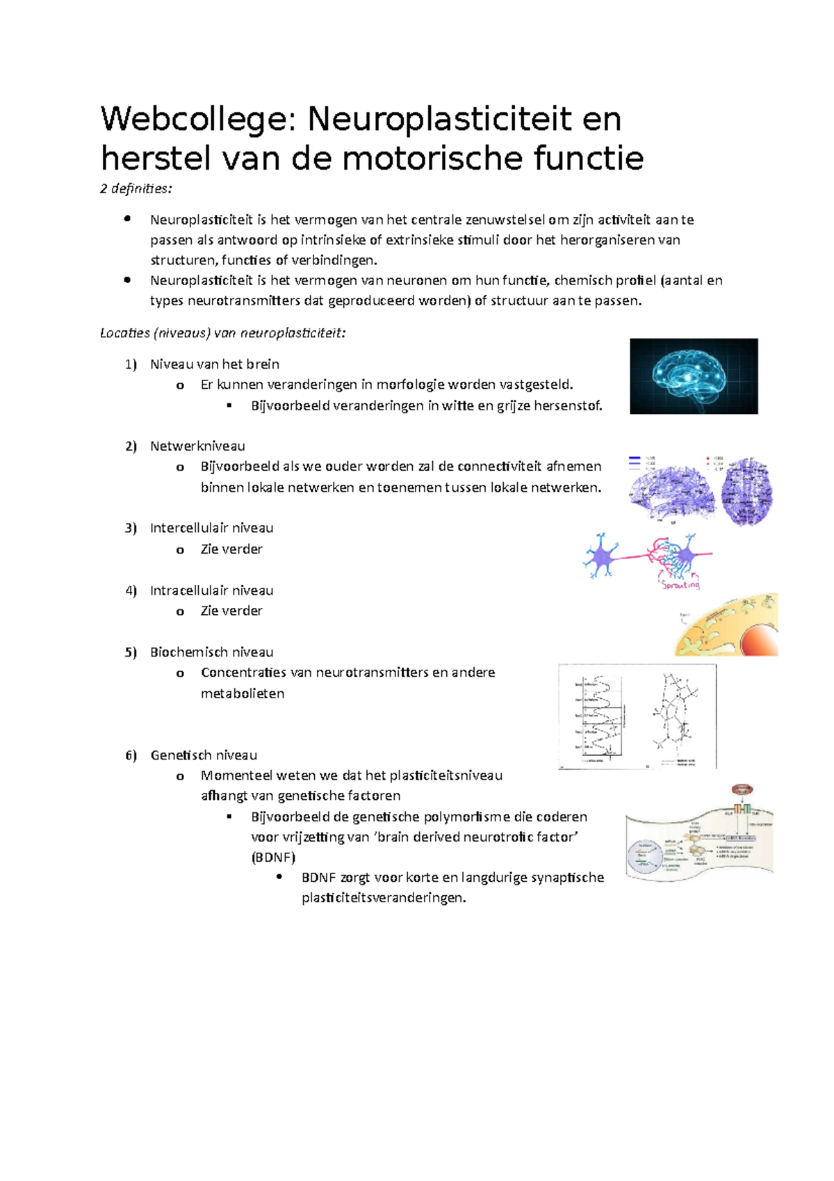 Webcollege Neuroplasticiteit - Neuroplasticiteit Is Het Vermogen Van ...