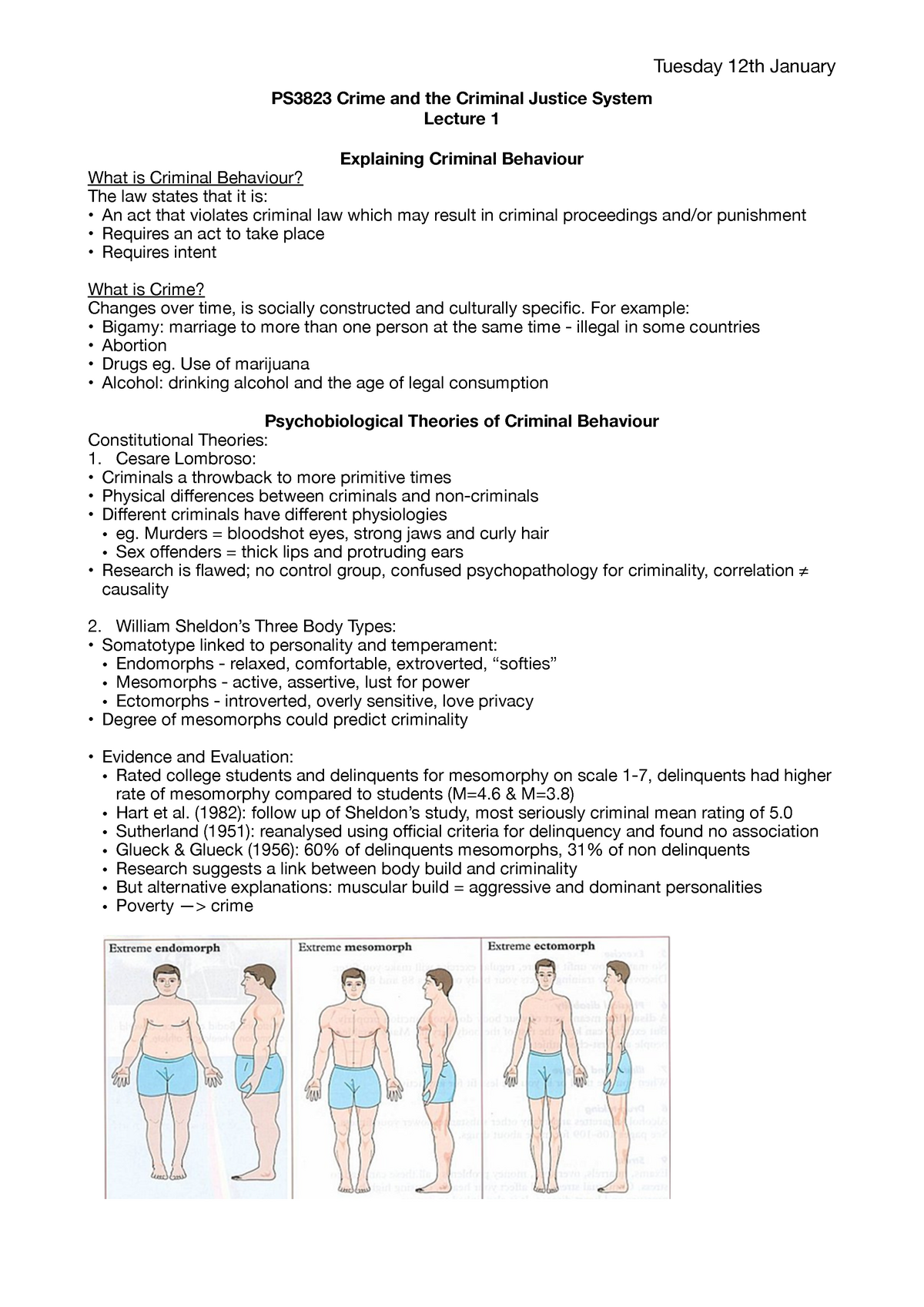 Sheldon's Constitutional Theory: Somatotyping