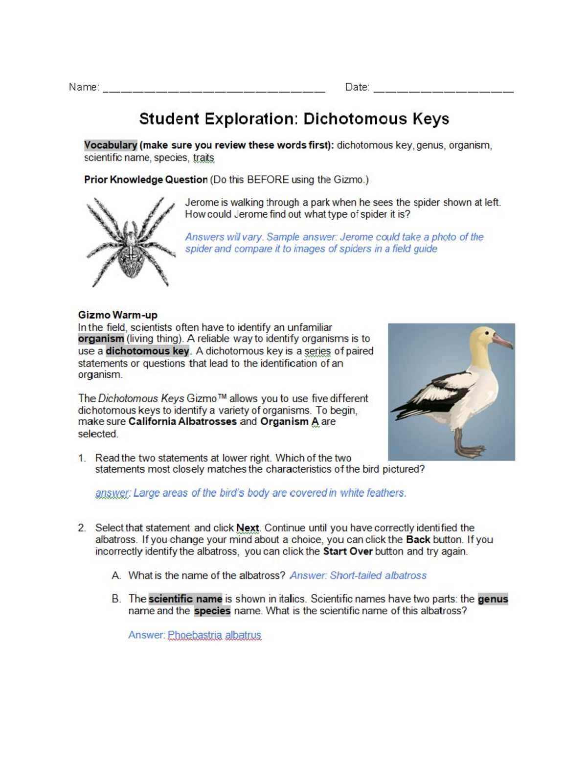 Gizmo Dichotomous Keys - Name ...