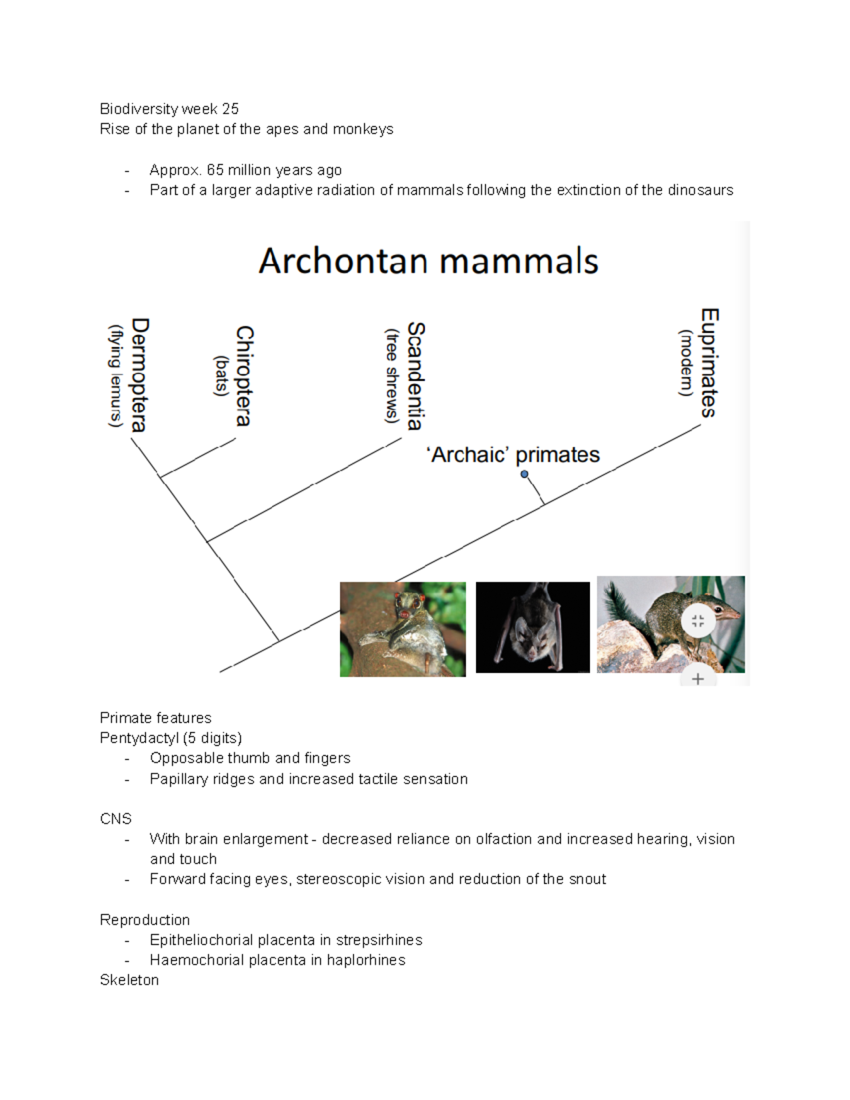 Biodiversity Week 25 - Lecture Notes 25 - Biodiversity Week 25 Rise Of ...