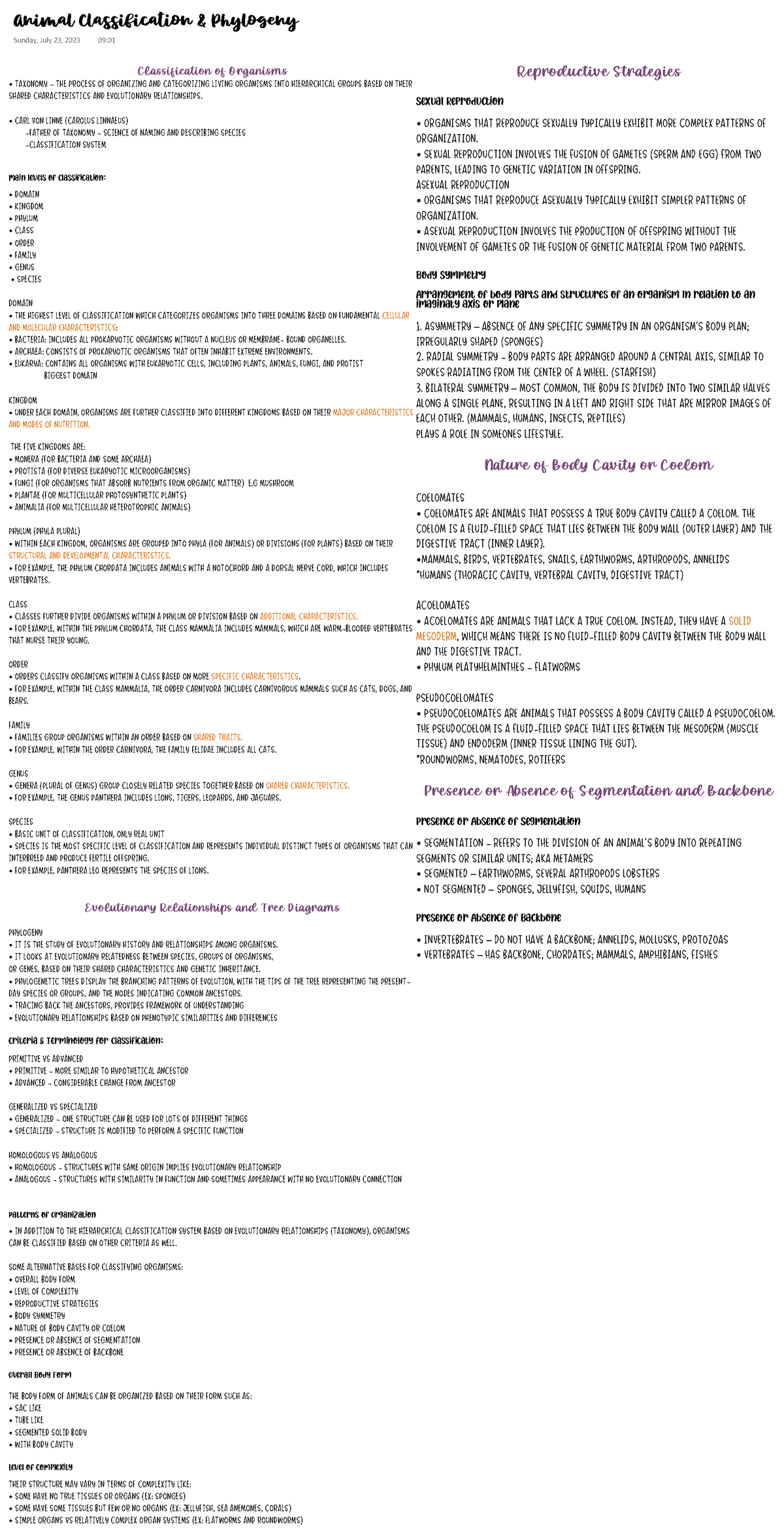 animal-classification-phylogeny-classification-of-organisms