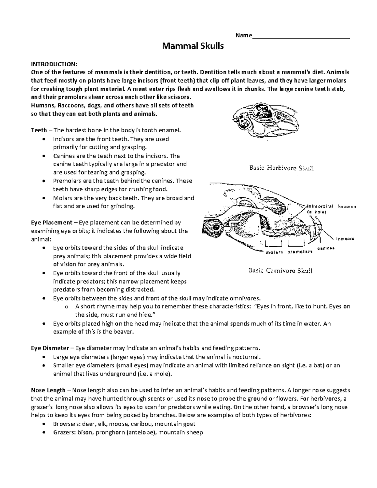 Mammal skulls lab 2 - lab - Name_____________________________ Mammal