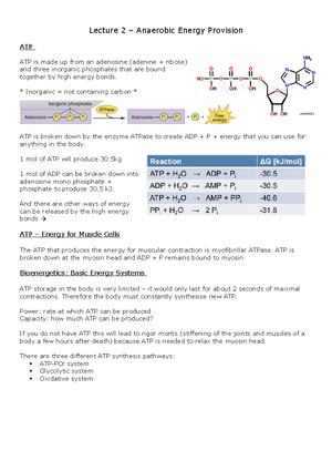 Exercise Physiology Semester 1 Lecture Notes - Physiology Notes Kenney ...