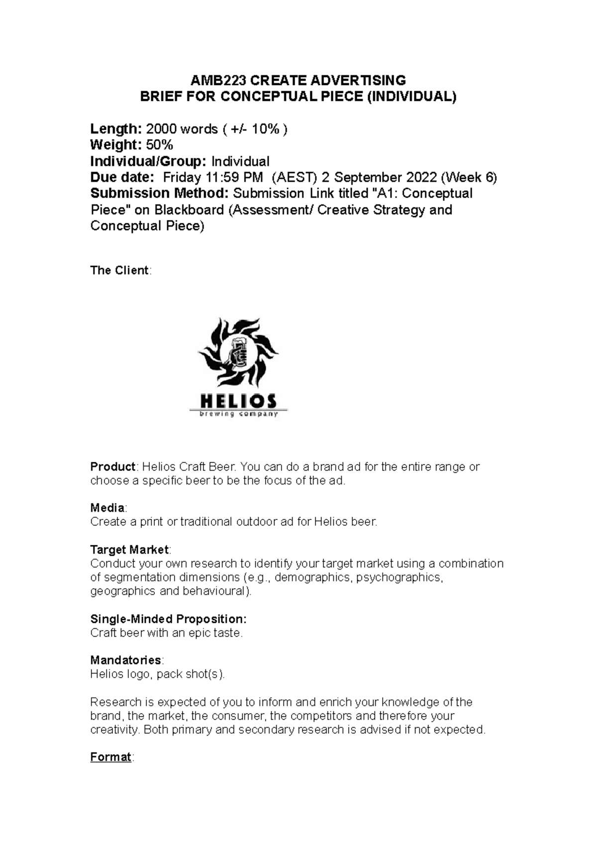 S2 22 A1 AMB223 Conceptual Piece Brief - AMB223 CREATE ADVERTISING ...