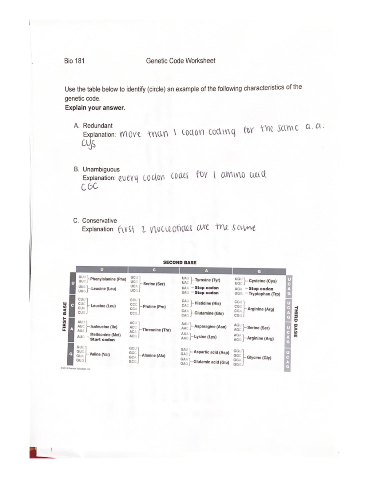 Genetic code wrksht - Lecture notes for doctor bushman's bio 181 class ...
