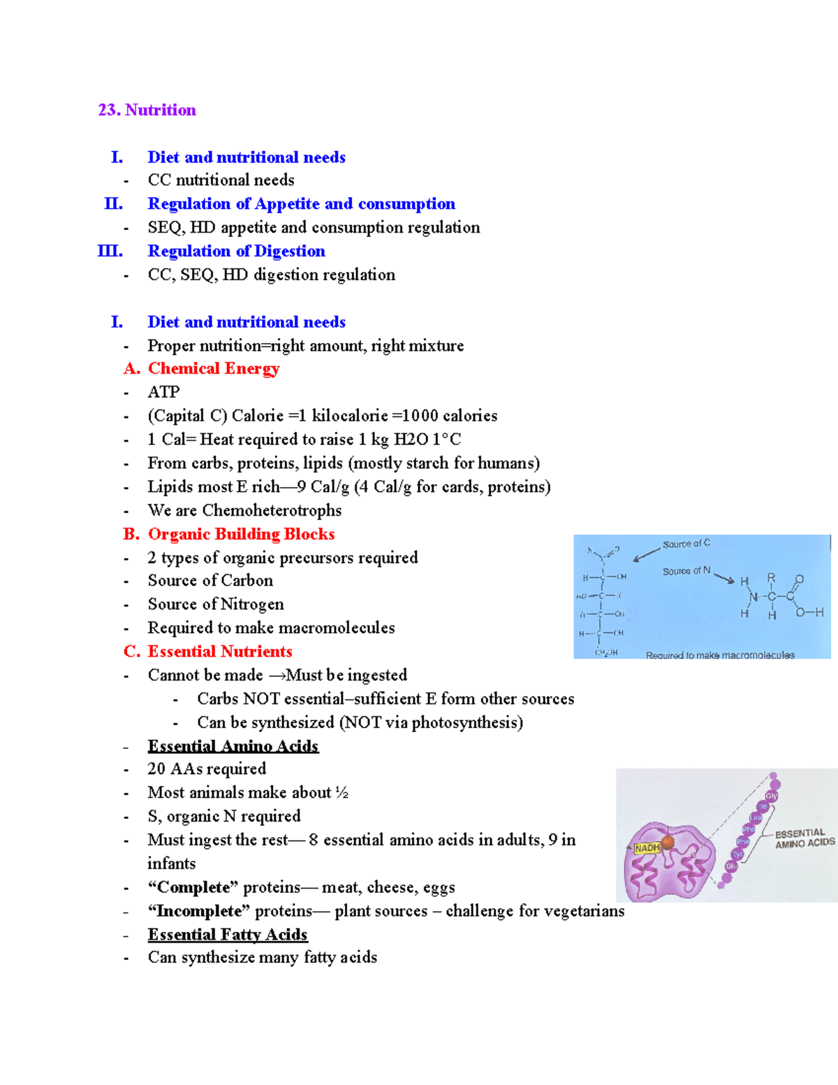 23. Nutrition - Bio notes - Nutrition I. Diet and nutritional needs ...