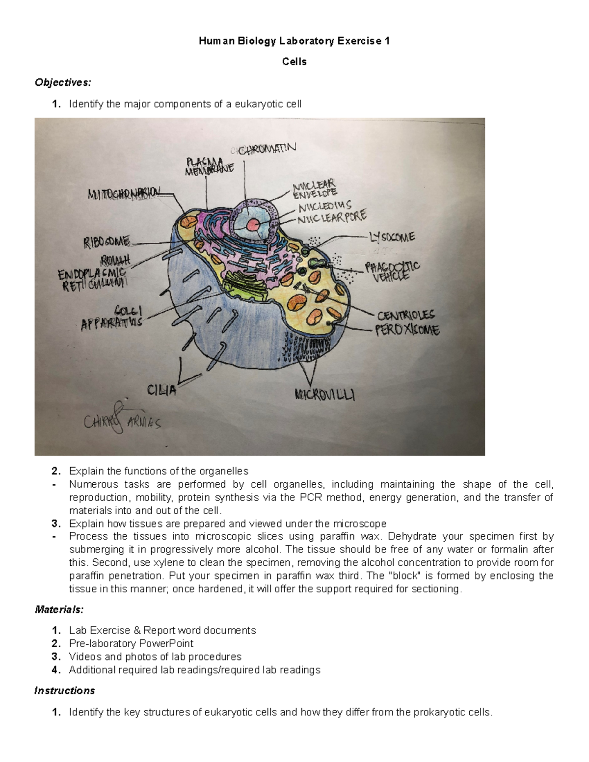 General Zoology Laboratory Exercise 1 Human Biology Laboratory