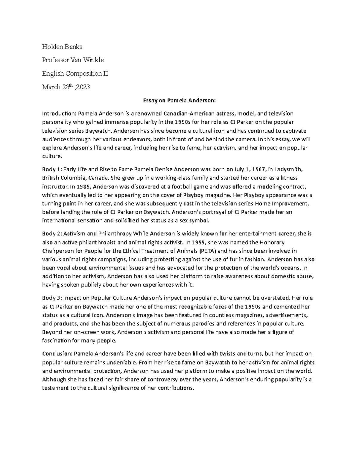 Essay on Pamela Anderson and her Lifestyle Holden Banks Professor Van