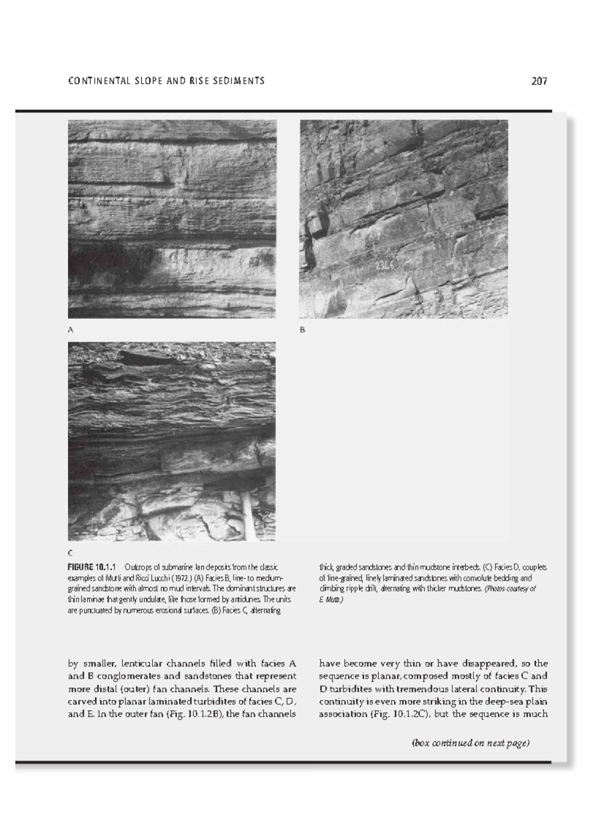 Sedimentary Geology ( PDFDrive )25 CONTINENTAL SLOPE AND RISE