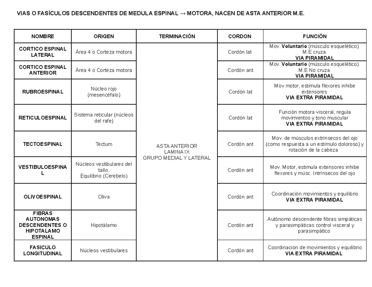 Vias Descendentes Vias O Fas Culos Descendentes De Medula Espinal Motora Nacen De Asta