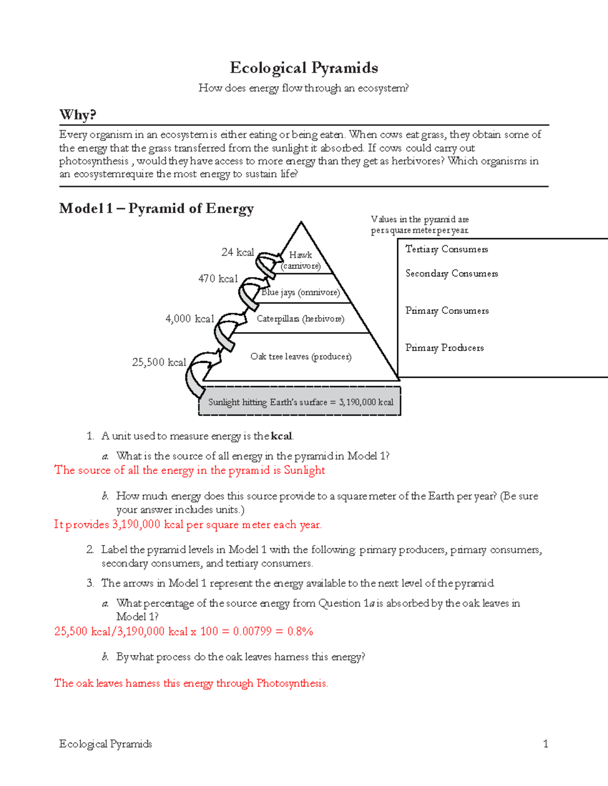 26 Ecological Pyramids-S - Ecological Pyramids 1 Why? Ecological ...