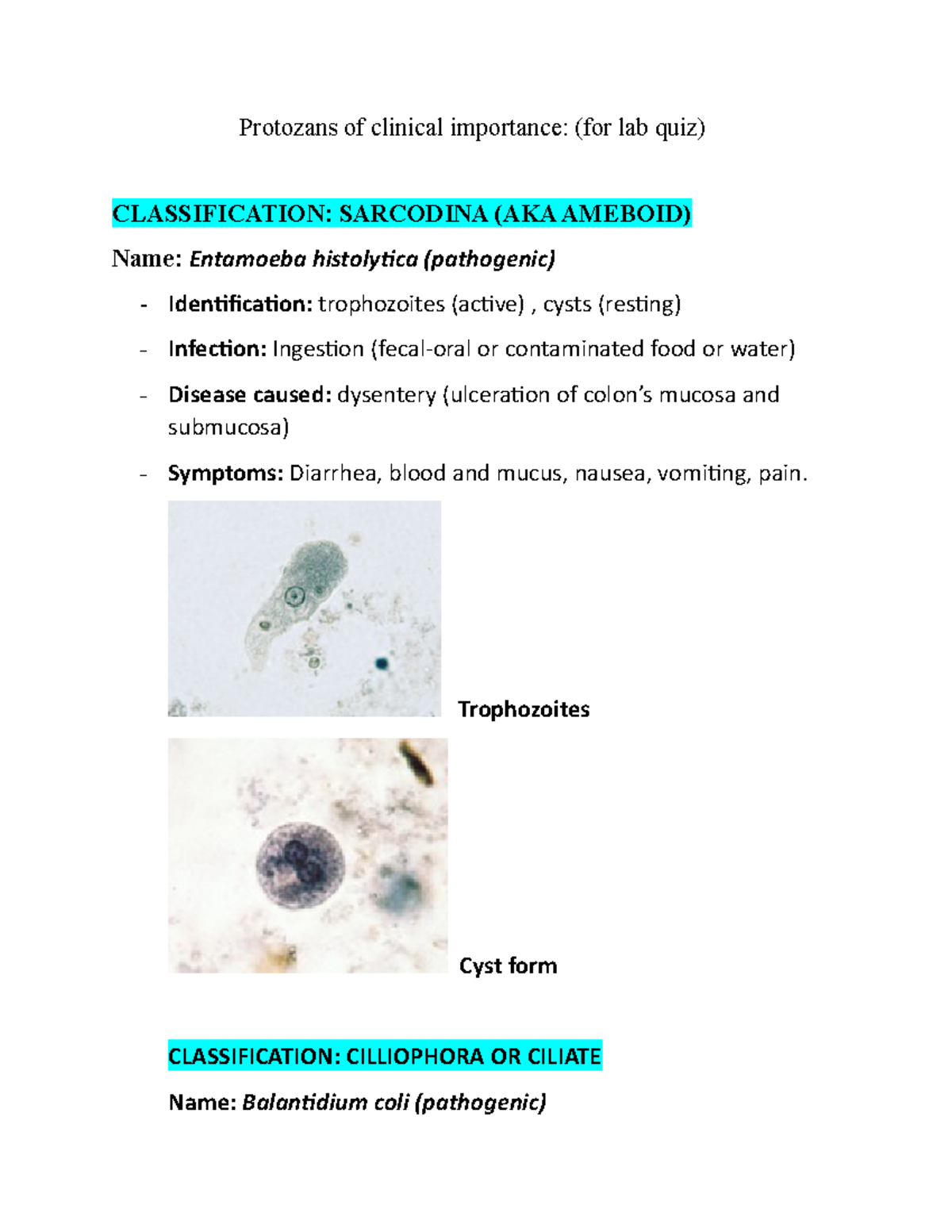 Protozan lab quiz Microbiology Protozans of clinical importance (for lab quiz) CLASSIFICATION